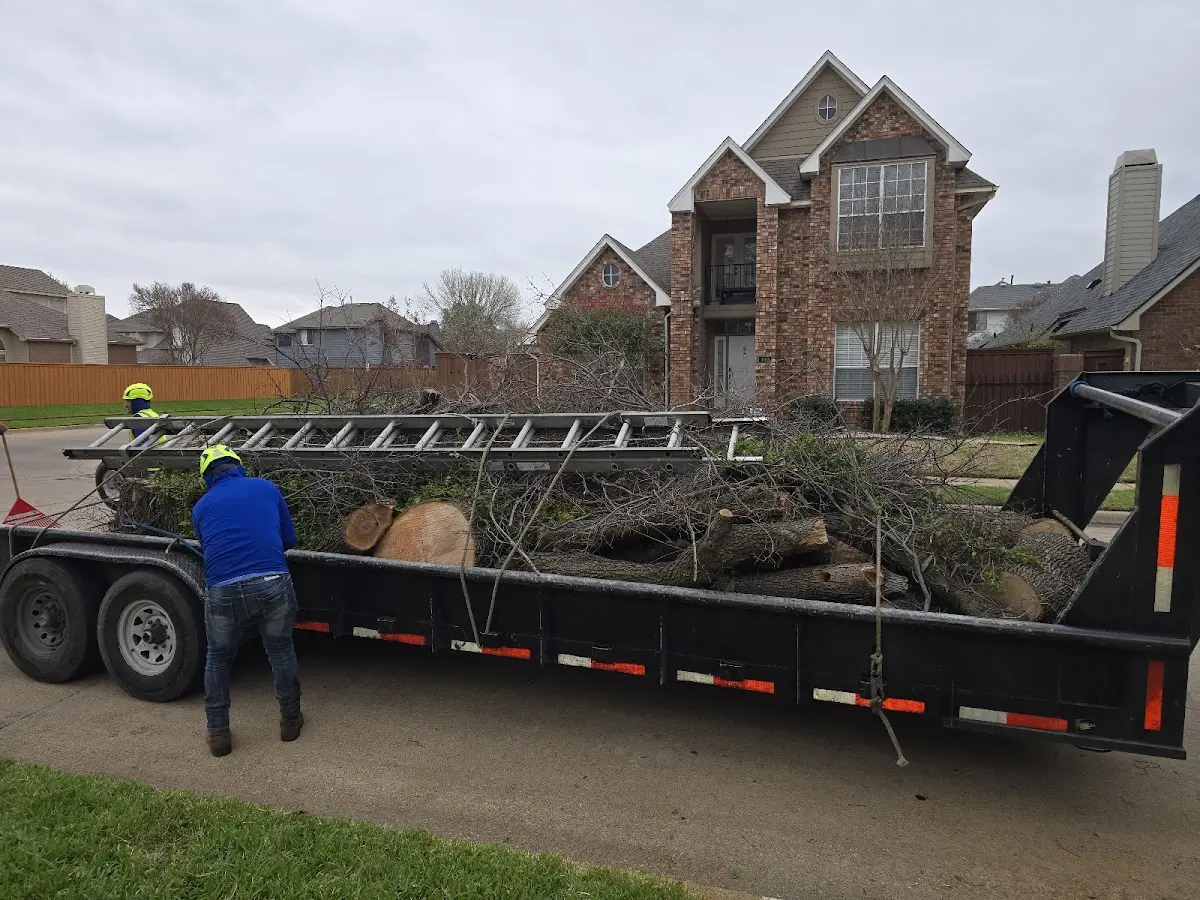 Expert Lot Clearing with proper safety equipment in Ocean Park